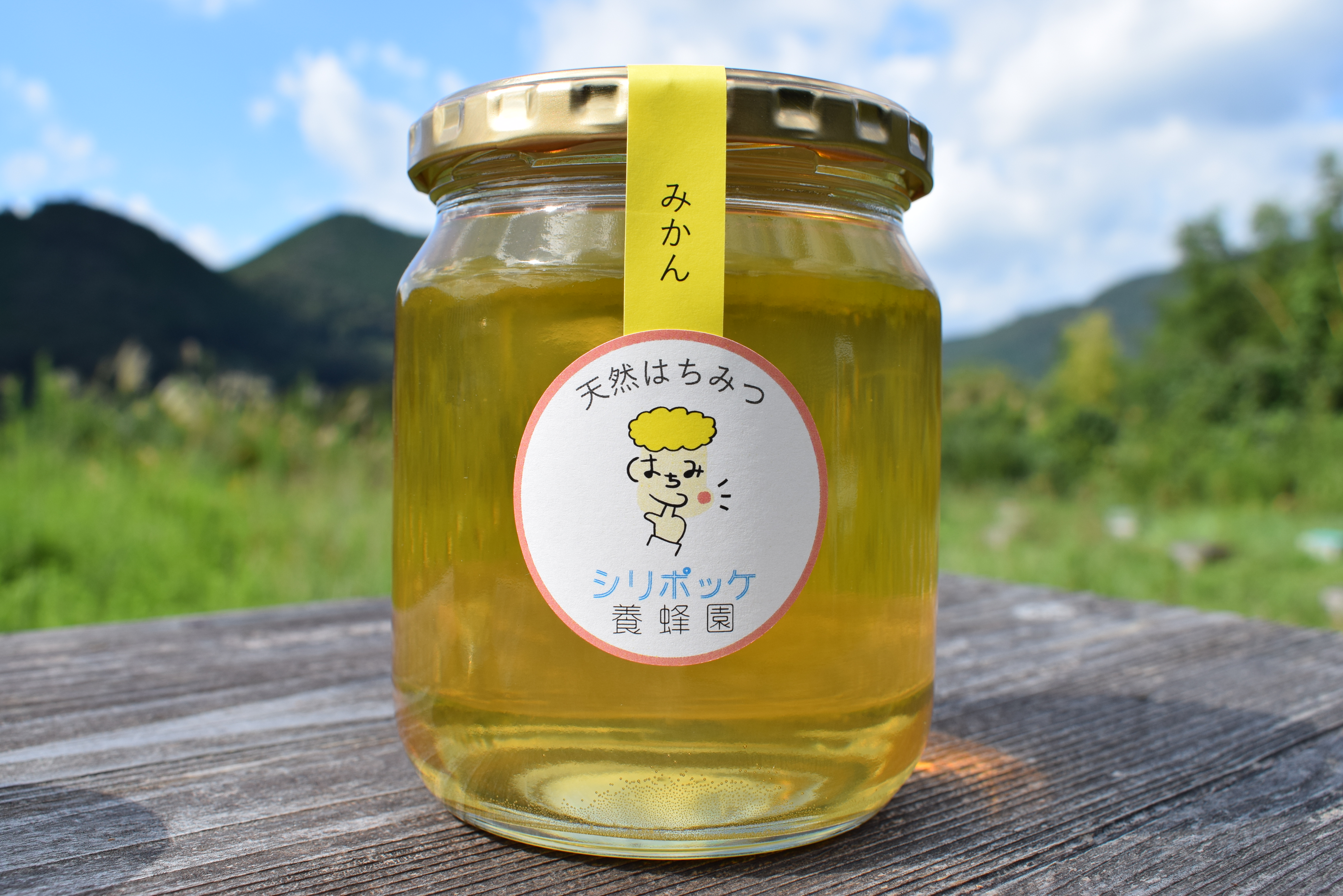 「みかん」 600g ｜天然はちみつ